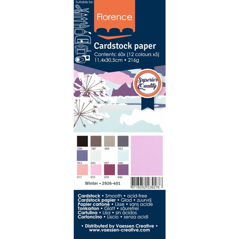 Florence Cardstock Papier Winterfarben 11,4 x 30,5 cm (216 g) - 60 Stück