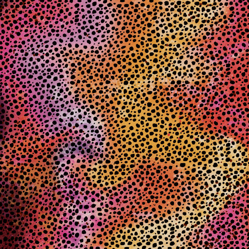 Rainbow Cheetah