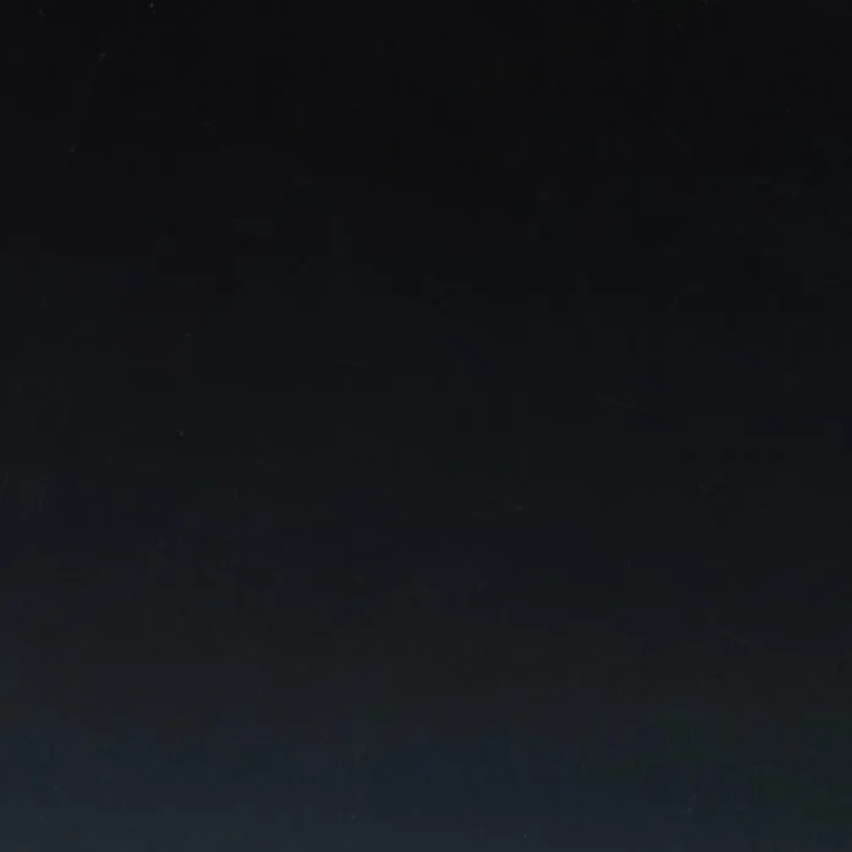 Silhouette  Metallätzplatten-Set für Stippling & Ätzen (Curio 2)